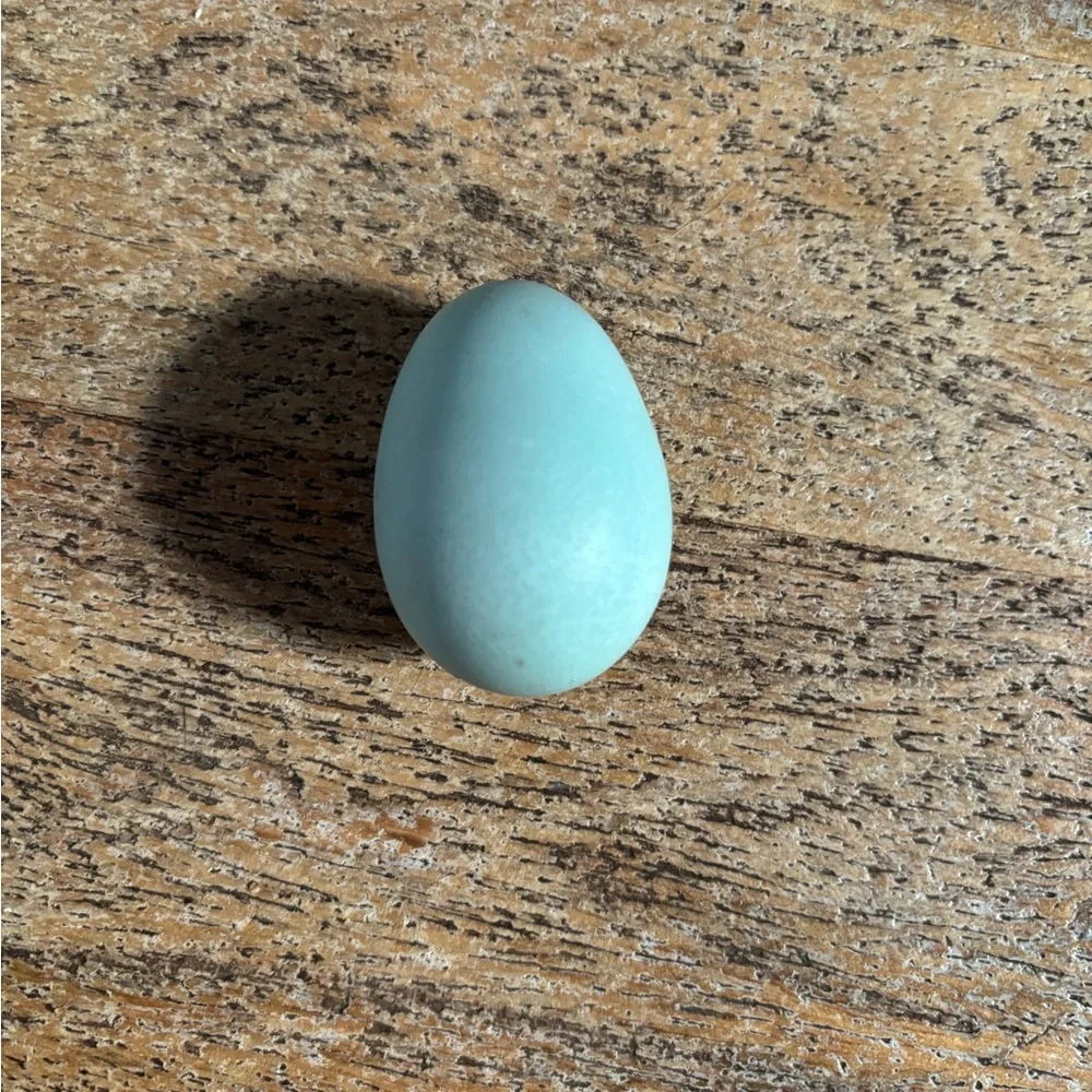 Hatching eggs 🪺 - Picture 11 of 15